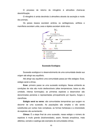 O processo de retorno de nitrogênio à atmosfera chama-se
desnitrificação.
O nitrogênio é ainda devolvido à atmosfera através da excreção e morte
dos animais.
Os peixes ósseos excretam amônia, os cartilaginosos, anfíbios e
mamíferos excretam uréia, aves e répteis excretam ácido úrico.
Sucessão Ecológica
Sucessão ecológica é o desenvolvimento de uma comunidade desde sua
origem até atingir seu equilíbrio.
Até atingir seu equilíbrio uma comunidade passa por três estágios: Ecse,
estágio seral e clímax.
Ecse: primeiro passo se uma sucessão ecológica. Nesse ambiente as
condições de vida são muito desfavoráveis (altas temperaturas, baixa ou alta
umidade, intensa iluminação); as primeiras espécies a desenvolver são
denominadas pioneiras e representadas principalmente por liquens, fungos e
cianofícias.
Estágio seral ou seres: são comunidades temporárias que surgem no
decorrer de uma sucessão. As populações são simples e vão sendo
substituídas por outras mais complexas, as formas herbáceas e a diversidade
de espécies vão aumentando.
Clímax: É a etapa final de uma sucessão, nesse estágio o número de
espécies é muito grande (biodiversidade), assim, floresta amazônica, mata
atlântica, cerrado e caatinga são exemplos de comunidades clímax.
46
 