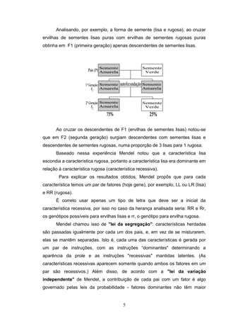 Analisando, por exemplo, a forma de semente (lisa e rugosa), ao cruzar
ervilhas de sementes lisas puras com ervilhas de sementes rugosas puras
obtinha em F1 (primeira geração) apenas descendentes de sementes lisas.
Ao cruzar os descendentes de F1 (ervilhas de sementes lisas) notou-se
que em F2 (segunda geração) surgiam descendentes com sementes lisas e
descendentes de sementes rugosas, numa proporção de 3 lisas para 1 rugosa.
Baseado nessa experiência Mendel notou que a característica lisa
escondia a característica rugosa, portanto a característica lisa era dominante em
relação à característica rugosa (característica recessiva).
Para explicar os resultados obtidos, Mendel propôs que para cada
característica temos um par de fatores (hoje gene), por exemplo, LL ou LR (lisa)
e RR (rugosa).
É correto usar apenas um tipo de letra que deve ser a inicial da
característica recessiva, por isso no caso da herança analisada seria: RR e Rr,
os genótipos possíveis para ervilhas lisas e rr, o genótipo para ervilha rugosa.
Mendel chamou isso de "lei da segregação": características herdadas
são passadas igualmente por cada um dos pais, e, em vez de se misturarem,
elas se mantêm separadas. Isto é, cada uma das características é gerada por
um par de instruções, com as instruções “dominantes" determinando a
aparência da prole e as instruções "recessivas" mantidas latentes. (As
características recessivas aparecem somente quando ambos os fatores em um
par são recessivos.) Além disso, de acordo com a "lei da variação
independente" de Mendel, a contribuição de cada pai com um fator é algo
governado pelas leis da probabilidade - fatores dominantes não têm maior
5
 