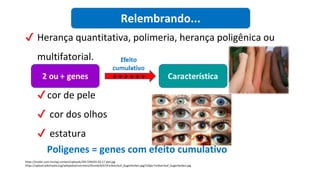 biologia_3ªsérie_slides_aula19. BIOLOGIApptx | PPTX