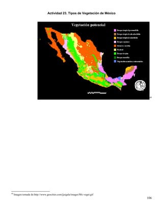 Actividad 23. Tipos de Vegetación de México




                                                                                 49




49
     Imagen tomada de:http://www.geocities.com/jjsigala/images/Mx-veget.gif
                                                                                106
 