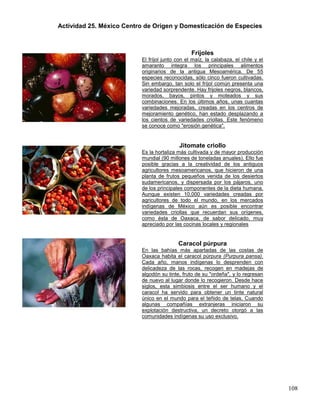 Actividad 25. México Centro de Origen y Domesticación de Especies



                                                Frijoles
                          El fríjol junto con el maíz, la calabaza, el chile y el
                          amaranto integra los principales alimentos
                          originarios de la antigua Mesoamérica. De 55
                          especies reconocidas, sólo cinco fueron cultivadas.
                          Sin embargo, tan solo el fríjol común presenta una
                          variedad sorprendente. Hay frijoles negros, blancos,
                          morados, bayos, pintos y moteados y sus
                          combinaciones. En los últimos años, unas cuantas
                          variedades mejoradas, creadas en los centros de
                          mejoramiento genético, han estado desplazando a
                          los cientos de variedades criollas. Este fenómeno
                          se conoce como "erosión genética".


                                           Jitomate criollo
                          Es la hortaliza más cultivada y de mayor producción
                          mundial (90 millones de toneladas anuales). Ello fue
                          posible gracias a la creatividad de los antiguos
                          agricultores mesoamericanos, que hicieron de una
                          planta de frutos pequeños venida de los desiertos
                          sudamericanos, y dispersada por los pájaros, uno
                          de los principales componentes de la dieta humana.
                          Aunque existen 10,000 variedades creadas por
                          agricultores de todo el mundo, en los mercados
                          indígenas de México aún es posible encontrar
                          variedades criollas que recuerdan sus orígenes,
                          como ésta de Oaxaca, de sabor delicado, muy
                          apreciado por las cocinas locales y regionales


                                          Caracol púrpura
                          En las bahías más apartadas de las costas de
                          Oaxaca habita el caracol púrpura (Purpura pansa).
                          Cada año, manos indígenas lo desprenden con
                          delicadeza de las rocas, recogen en madejas de
                          algodón su tinte, fruto de su "ordeña", y lo regresan
                          de nuevo al lugar donde lo recogieron. Desde hace
                          siglos, esta simbiosis entre el ser humano y el
                          caracol ha servido para obtener un tinte natural
                          único en el mundo para el teñido de telas. Cuando
                          algunas compañías extranjeras iniciaron su
                          explotación destructiva, un decreto otorgó a las
                          comunidades indígenas su uso exclusivo.




                                                                                    108
 