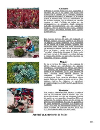 Amaranto
           Cultivado en México desde hace unos 7,000 años, el
           amaranto es uno de los granos con mayor valor
           nutritivo que se conocen. Por la cantidad y calidad de
           sus proteínas el amaranto se asemeja a la leche y se
           acerca al alimento ideal. Conocido como huautli por
           los antiguos aztecas, fue un alimento de carácter
           religioso o ritual. Prohibido su cultivo por los
           conquistadores, el amaranto logró sobrevivir
           cultivado clandestinamente por los agricultores
           indígenas. Hoy se consume como dulce, conocido
           como "alegría", en galletas, tamales, atoles y pinole,
           y como verdura.


                                    Ixtle
           Las mujeres otomíes del Valle del Mezquital, en
           Hidalgo, elaboran productos a partir de las fibras de
           un maguey. El proceso comienza con la recolección
           de las pencas, las cuales queman y golpean para
           separar las fibras, llamadas ixtle, de los duros tejidos
           de la epidermis vegetal. Después de ser lavadas, las
           fibras se limpian y secan, para ser alineadas y
           "peinadas" utilizando las biznagas. El hilado, hecho
           con huso manual de fabricación doméstica, da lugar
           a vistosas telas teñidas con pigmentos naturales, o a
           esponjillas, estropajos y bolsos.

                                  Maguey
           Se da el nombre de maguey a las especies del
           género Agave que caracterizan los paisajes
           desérticos y semidesérticos de México. Con más de
           400 especies, los magueyes fueron llamados "la
           planta de las maravillas" por su gran variedad de
           usos. Utilizados desde tiempos remotos, los
           magueyes        ofrecen     alimentos,       bebidas,
           medicamentos, fibras y energía, además de retener
           suelos. Dado que florecen una sola vez en su vida y
           después mueren, los magueyes se reproducen
           principalmente por medio de "hijuelos", que brotan en
           sus bases


                                Guajolote
           Los pueblos mesoamericanos lograron domesticar
           más de 100 especies útiles de plantas, pero muy
           pocas de animales, entre las que sobresalen la abeja
           sin aguijón, el perro izcuintle y el guajolote (Meleagris
           gallopavo). No obstante fueron, con los chinos, los
           primeros domesticadores de aves: los guajolotes y
           los patos domésticos ya existían en la región hace
           unos 4,500 años. El mejoramiento genético de las
           razas originales de guajolotes iniciado en el siglo
           XVII en Norteamérica dio lugar a los pavos.


Actividad 26. Endemismos de México


                                                                       109
 