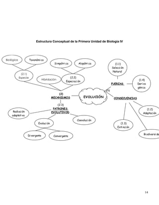 Estructura Conceptual de la Primera Unidad de Biología IV




Biológica             Taxonómi ca
                                           Si mpátri ca        Alopátri ca              (1.1)
                                                                                      Selecci ón
                                                                                      Natural
              (2.1)
            Especie                                     (2.2)
                                 Hibridación                                                             (1.4)
                                                     Especiaci ón
                                                                                      FUERZAS           Deri va
                                                                                                        génica
                                                                                (1)
                                              (2)
                                          MECANISMOS                EVOLUCIÓN          CONSECUENCIAS

                                              (2.3)
                                           PATRONES                                                            (1.2)
     Radi aci ón                          EVOLUTIVOD                                                        Adaptación
    adaptati va
                                                              Coevoluci ón
                             Evoluci ón                                                     (1.3)
                                                                                          Exti nci ón

                                                                                                             Bi odiversi da
                   Di vergente             Convergente




                                                                                                              14
 