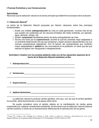I Fuerzas Evolutivas y sus Consecuencias

Aprendizaje
Reconoce que la selección natural es la fuerza principal que determina el proceso de la evolución.


1.1 Selección Natural4
La teoría de la Selección Natural propuesta por Darwin, descansa sobre tres principios
fundamentales:
        1. Existe una notable sobreproducción de crías en cada generación, muchas más de las
           que pueden ser sostenidas por los recursos limitados del medio ambiente, por ejemplo:
           agua, alimento, refugio, etc.
        2. Existen variaciones hereditarias dentro de dicha sobrepoblación de crías.
        3. Ocurre una lucha por la supervivencia, durante la cual las variantes mejor adaptadas a
           un ambiente determinado son las que prosperan y logran producir descendientes con sus
           mismas características adaptativas. Con el tiempo, las características que confieren
           mayor adaptabilidad o aptitud se van acumulando en la población, en tanto que las que
           reducen la aptitud van menguando o desapareciendo.


    Actividad 4. Explica con tus propias palabras cada uno de los siguientes aspectos de la
                         teoría de la Selección Natural señalados arriba.


    1. Sobreproducción:__________________________________________
_______________________________________________________________


    2. Variaciones:_______________________________________________
_______________________________________________________________


    3. Supervivencia:_____________________________________________
_______________________________________________________________


    4. Aptitud darwiniana:_________________________________________
_______________________________________________________________
      La selección natural no produce cambio genético, sino que, una vez que el cambio genético
ha ocurrido, actúa favoreciendo a unos genes sobre otros.
      Se puede considerar como el cambio relativo en la manifestación de ciertos genes
ocasionado por cualquier característica ambiental, de tal manera que la selección natural ocasiona
cambio evolutivo a través de un favorecimiento diferencial de la reproducción de los genes.


4
 Casas, P.E., Cuenca, A.B., Castelán, S.I y Torices, J. A.M. ¿Cómo se explica la evolución y diversidad de los seres vivos?
Paquete didáctico de la segunda unidad de Biología II. CCH Naucalpan, UNAM. Febrero de 1998
                                                                                                                        20
 