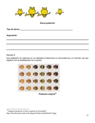Nueva población


Tipo de deriva ___________________________________________________


Argumento:




Ejemplo 2.
Una población de catarinas se vio afectada al destruirse su comunidad por un incendio, las que
lograron huir se establecieron en un jardín.




                                          Población original10




10
   Imagen tomada de ¿Cómo se genera la diversidad?
http://bioinformatica.uab.es/divulgacio/biodiversidad/biodiv14.jpg
                                                                                           33
 