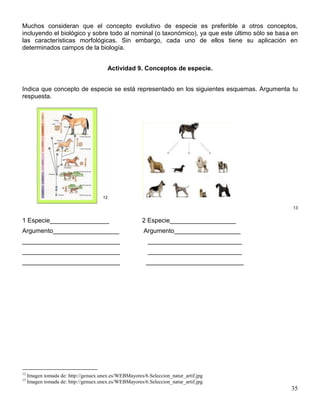 Muchos consideran que el concepto evolutivo de especie es preferible a otros conceptos,
incluyendo el biológico y sobre todo al nominal (o taxonómico), ya que este último sólo se basa en
las características morfológicas. Sin embargo, cada uno de ellos tiene su aplicación en
determinados campos de la biología.


                                        Actividad 9. Conceptos de especie.


Indica que concepto de especie se está representado en los siguientes esquemas. Argumenta tu
respuesta.




                                      12

                                                                                                13


1 Especie_________________                              2 Especie___________________
Argumento___________________                            Argumento___________________
____________________________                              ___________________________
____________________________                              ___________________________
____________________________                             ____________________________




12
     Imagen tomada de: http://genuex.unex.es/WEBMayores/6.Seleccion_natur_artif.jpg
13
     Imagen tomada de: http://genuex.unex.es/WEBMayores/6.Seleccion_natur_artif.jpg
                                                                                               35
 