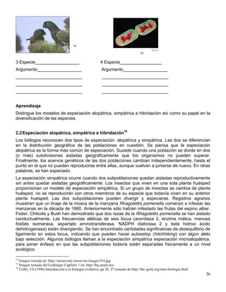 14

                                                                                    15


3 Especie__________________                              4 Especie_________________
Argumento__________________                               Argumento__________________
___________________________                               ___________________________
___________________________                               ___________________________
___________________________                               ___________________________


Aprendizaje
Distingue los modelos de especiación alopátrica, simpátrica e hibridación así como su papel en la
diversificación de las especies.


2.2 Especiación alopátrica, simpátrica e hibridación16
Los biólogos reconocen dos tipos de especiación: alopátrica y simpátrica. Las dos se diferencian
en la distribución geográfica de las poblaciones en cuestión. Se piensa que la especiación
alopátrica es la forma más común de especiación. Sucede cuando una población se divide en dos
(o más) subdivisiones aisladas geográficamente que los organismos no pueden superar.
Finalmente, los acervos genéticos de las dos poblaciones cambian independientemente, hasta el
punto en el que no pueden reproducirse entre ellas, aunque vuelvan a juntarse de nuevo. En otras
palabras, se han especiado.
La especiación simpátrica ocurre cuando dos subpoblaicones quedan aisladas reproductivamente
sin antes quedar aisladas geográficamente. Los insectos que viven en una sola planta huésped
proporcionan un modelo de especiación simpátrica. Si un grupo de insectos se cambia de planta
huésped, no se reproducirán con otros miembros de su especie que todavía vivan en su anterior
planta huésped. Las dos subpoblaciones pueden divergir y especiarse. Registros agrarios
muestran que un linaje de la mosca de la manzana Rhagolettis pomenella comenzó a infestar las
manzanas en la década de 1860. Anteriormente sólo habían infestado las frutas del espino albar.
Feder, Chilcote y Bush han demostrado que dos razas de la Rhagolettis pomenella se han aislado
conductualmente. Las frecuencias alélicas de seis locus (aconitasa 2, enzima málica, manosa
fosfato isomerasa, aspartato aminotransferasa, NADPH diaforasa 2 y beta hidroxi ácido
dehidrogenasa) están divergiendo. Se han encontrado cantidades significativas de desequilibrio de
ligamiento en estos locus, indicando que pueden hacer autoestop (hitchhiking) con algún alelo
bajo selección. Algunos biólogos llaman a la especiación simpátrica especiación microalopátrica,
para poner énfasis en que las subpoblaciones todavía están separadas físicamente a un nivel
ecológico.

14
   Imagen tomada de: http://uninet.mty.itesm.mx/images/f14.jpg
15
   Imagen tomada del Lenhinger Capítulo 1 en: http://bq.unam.mx/
16
   Colby, Ch.(1996) Introducción a la biología evolutiva, pp 26, 27 tomado de http://the-geek.org/intro-biologia.html
                                                                                                                        36
 