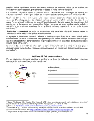 propias de los organismos revelan una mayor cantidad de cambios, éstos ya no pueden ser
considerados como especies, por lo menos no desde el punto de vista biológico.
La radiación adaptativa tiende a producir líneas adaptativas que convergen en formas de
adaptación similares a otros grupos con los cuales quizá estuvieron lejanamente relacionados21.
Evolución divergente: ocurre cuando una población queda separada del resto de la especie y a
causa de diferentes presiones de selección se traza un camino evolutivo distinto. Ejemplo: el oso
pardo (Ursus erecto), distribuido en todo el hemisferio norte, durante una de las glaciaciones del
pleistoceno y de acuerdo con las pruebas fósiles, un grupo de osos pardos quedo aislado y
sometido a las presiones selectivas de un ambiente adverso produciendo el oso polar (Ursus
maritímus)22.
Evolución convergente: se trata de organismos que separados filogenéticamente vienen a
asemejarse entre ellos por ocupar un ambiente similar.
El ejemplo lo constituyen ballenas, delfines o marsopas que viven en el agua tienen forma
hidrodinámica y aunque se asemejen a los grandes peces tienen grandes diferencias con ellos; ya
que los cetáceos tienen sangre caliente, respiran por pulmones y sus aletas disimulan los restos
de una mano tetrápoda19.
El proceso de coevolución se define como la selección natural recíproca entre dos o más grupos
de organismos, con estrechas relaciones ecológicas pero sin intercambio de información genética
entre ellos23.


                                            Actividad 11. Patrones evolutivos.
En los siguientes ejemplos identifica y explica si se trata de radiación adaptativa, evolución
convergente, evolución divergente o coevolución.


                                                                     a) Ejemplo de: _________________
                                                                     Argumento:
                                                                     ______________________________
                                                                     ______________________________
                                                                     ______________________________
                                                                     ______________________________

24




21
   Casas, P.E., Cuenca, A.B., Castelán, S.I y Torices, J. A.M. ¿Cómo se explica la evolución y diversidad de los seres vivos?
Paquete didáctico de la segunda unidad de Biología II. CCH Naucalpan, UNAM. Febrero de 1998
22
   Tomado de: http://biologia.iztacala.unam.mx/directorio/evolucion_y_paleontologia.html
23
  Fontúrbel, F. y C. Molina Mecanismos y estrategias de coevolución en plantas: un breve análisis de la
coevolución planta-insecto. En: http://cabierta.uchile.cl/revista/22/articulos/pdf/paper4.pdf
24
     Imagen tomada de: http://cabierta.uchile.cl/revista/17/articulos/paper2/gfortubel_archivos/image002.gif
                                                                                                                          39
 