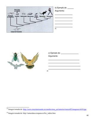 b) Ejemplo de: ______
                                                                 Argumento:
                                                                 _________________
                                                                 _________________
                                                                 _________________
                                                                 _________________
                                                                 _________________
                                                                 25




                                                           c) Ejemplo de: _________________
                                                           Argumento:
                                                           ______________________________
                                                           ______________________________
                                                           _______________________________
                                                           _______________________________
                                                      26




25
     Imagen tomada de: http://www.muyinteresante.es/canales/muy_act/anterior/marzo02/imagenes/ob10.jpg
26
     Imagen tomada de: http://natureduca.iespana.es/bio_indice.htm
                                                                                                         40
 