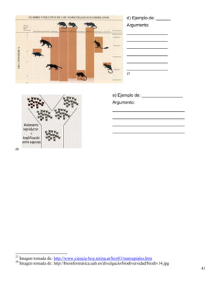 d) Ejemplo de: ______
                                                                 Argumento:
                                                                 _________________
                                                                 _________________
                                                                 _________________
                                                                 _________________
                                                                 _________________
                                                                 _________________
                                                                 27




                                                         e) Ejemplo de: _________________
                                                         Argumento:
                                                         ______________________________
                                                         ______________________________
                                                         ______________________________
                                                         ______________________________



28




27
     Imagen tomada de: http://www.ciencia-hoy.retina.ar/hoy01/marsupiales.htm
28
     Imagen tomada de: http://bioinformatica.uab.es/divulgacio/biodiversidad/biodiv14.jpg
                                                                                            41
 