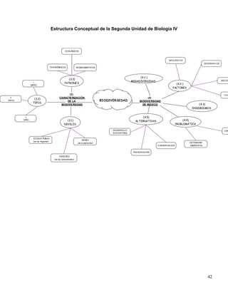 Estructura Conceptual de la Segunda Unidad de Biología IV



                                                      ECOLÓGICOS



                                                                                                                                    GEOLÓGICO S
                                                                                                                                                                GEOGRÁFIC OS
                                        TAXONÓM ICOS              BIOGEOGRÁ FICOS




                                                                                                                (4.1 )
                                                        (3.3)
                                                                                                           MEGADIVERSIDAD                                                      BIOLÓG
                                                     PATRONES                                                                            (4.2 )
                  (gama)
                                                                                                                                       FACTORES

                                                       (3)                                                                                                                       CUL

                     (3.2)                      CARACTERIZACIÓN                                                       (4)
(beta)
                                                     DE LA                             BIODIVERSIDAD            BIODIVERSIDAD
                    TIPOS
                                                 BIODIVERSIDAD                                                    DE MÉXICO                              (4.3)
                                                                                                                                                     ENDEMISMOS


                                                                                                                  (4.5)
         (alfa)                                       (3.1)                                                  ALTERNATIVAS                        (4.4)
                                                    NIVELES                                                                                 PROBLEMÁTICA

                                                                                             DESARROLLO                                                                          CON
                                                                                             SUSTENTABLE

                    ECOSISTEMAS
                                                                        GENES
                    (en las regiones)
                                                                   (en la población)                                                                DETERIORO
                                                                                                                            CONSERVACIÓ N           AMBIENTAL


                                                                                                            PRESERVACIÓN

                                                 ESPECIES
                                           (en las comunidades)




                                                                                                                                                                  42
 