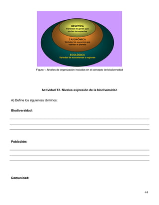 GENÉTICA
                                            Variedad de genes que
                                             portan las especies



                                               TAXONÓMICA
                                          Variedad de especies que
                                              habitan el planeta




                                               ECOLÓGICA
                                      Variedad de ecosistemas o regiones




                  Figura 1. Niveles de organización incluidos en el concepto de biodiversidad




                      Actividad 12. Niveles expresión de la biodiversidad


A) Define los siguientes términos:


Biodiversidad:




Población:




Comunidad:



                                                                                                44
 