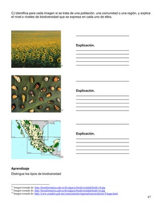 C) Identifica para cada imagen si se trata de una población, una comunidad o una región, y explica
el nivel o niveles de biodiversidad que se expresa en cada uno de ellos.




                                                        ______________________________


                                                        Explicación.
                                                        ______________________________
                                                        ______________________________
                                                        ______________________________
                                                        ______________________________
                                                        ______________________________
                                           31




                                                        ______________________________


                                                        Explicación.
                                                        ______________________________
                                                        ______________________________
                                                        ______________________________
                                                        ______________________________
                                           32           ______________________________



                                                        ______________________________


                                                        Explicación.
                                                        ______________________________
                                                        ______________________________
                                                        ______________________________
                                                        ______________________________
                                                        ______________________________
                                           33




Aprendizaje
Distingue los tipos de biodiversidad


31
   Imagen tomada de: http://bioinformatica.uab.es/divulgacio/biodiversidad/biodiv18.jpg
32
   Imagen tomada de: http://bioinformatica.uab.es/divulgacio/biodiversidad/biodiv16.jpg
33
   Imagen tomada de: http://www.conabio.gob.mx/conocimiento/regionalizacion/doctos/Tmapa.html
                                                                                                47
 