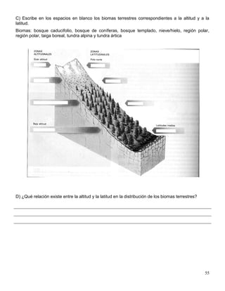 C) Escribe en los espacios en blanco los biomas terrestres correspondientes a la altitud y a la
latitud.
Biomas: bosque caducifolio, bosque de coníferas, bosque templado, nieve/hielo, región polar,
región polar, taiga boreal, tundra alpina y tundra ártica




D) ¿Qué relación existe entre la altitud y la latitud en la distribución de los biomas terrestres?




                                                                                                     55
 