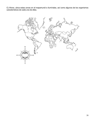 C) Ahora, ubica estas zonas en el mapamundi e ilumínalas, así como algunos de los organismos
característicos de cada una de ellas.




                                                                                         58
 