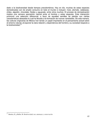dado a la biodiversidad desde tiempos precolombinos. Hoy en día, muchas de estas especies
domesticadas son de amplio consumo en todo el mundo e incluyen: maíz, jitomate, calabazas,
chiles, algodón, chocolate, frijoles y aguacate, entre otros muchos. El proceso de domesticación
implica una cercana asociación natural entre el hombre y estas especies. Esta interacción
promovió una selección diferencial, a favor de aquellas semillas de plantas con ciertas
características deseadas lo cual ha llevado a la formación de nuevas variedades. De esta manera,
las culturas originarias de México han tenido un papel importante en el pensamiento actual sobre
el entorno natural, al exponer la clara relación y dependencia del hombre y su sociedad respecto a
la biodiversidad.37




37
     Benítez, H. y Bellot, M. Biodiversidad, uso, amenazas y conservación.
                                                                                               65
 