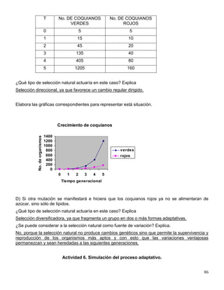 T      No. DE COQUIANOS              No. DE COQUIANOS
                                           VERDES                         ROJOS
                               0                    5                       5
                               1                 15                        10
                               2                 45                        20
                               3                135                        40
                               4                405                        80
                               5                1205                       160


¿Qué tipo de selección natural actuaría en este caso? Explica
Selección direccional, ya que favorece un cambio regular dirigido.


Elabora las gráficas correspondientes para representar está situación.



                                      Crecimiento de coquianos

                               1400
           No. de organismos




                               1200
                               1000
                                800                                     verdes
                                600                                     rojos
                                400
                                200
                                  0
                                      0     1   2       3   4   5
                                          Tiempo generacional



D) Si otra mutación se manifestará e hiciera que los coquianos rojos ya no se alimentaran de
azúcar, sino sólo de lípidos.
¿Qué tipo de selección natural actuaría en este caso? Explica
Selección diversificadora, ya que fragmenta un grupo en dos o más formas adaptativas.
¿Se puede considerar a la selección natural como fuente de variación? Explica.
No, porque la selección natural no produce cambios genéticos sino que permite la supervivencia y
reproducción de los organismos más aptos y con esto que las variaciones ventajosas
permanezcan y sean heredadas a las siguientes generaciones.


                                          Actividad 6. Simulación del proceso adaptativo.


                                                                                             86
 