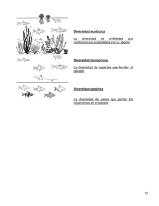 Diversidad ecológica

La   diversidad de ambientes que
conforman los organismos con su medio




Diversidad taxonómica

La diversidad de especies que habitan el
planeta




Diversidad genética


La diversidad de genes que portan los
organismos en el planeta




                                           92
 