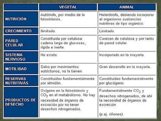 CÉLULA ANIMAL Y VEGETAL CLASE 5
