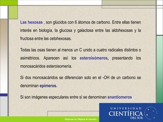 Las hexosas , son glúcidos con 6 átomos de carbono. Entre ellas tienen
interés en biología, la glucosa y galactosa entre las aldohexosas y la
fructosa entre las cetohexosas.
Todas las osas tienen al menos un C unido a cuatro radicales distintos o
asimétricos. Aparecen así los esteroisómeros, presentando los
monosacáridos esteroisomería.
Si dos monosacáridos se diferencian solo en el -OH de un carbono se
denominan epímeros.
Si son imágenes especulares entre sí se denominan enantiomeros
 