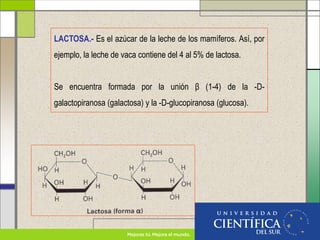LACTOSA.- Es el azúcar de la leche de los mamíferos. Así, por
ejemplo, la leche de vaca contiene del 4 al 5% de lactosa.
Se encuentra formada por la unión β (1-4) de la -D-
galactopiranosa (galactosa) y la -D-glucopiranosa (glucosa).
 