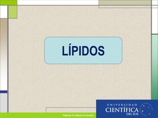 LÍPIDOS
 