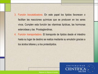 3. Función biocatalizadora. En este papel los lípidos favorecen o
facilitan las reacciones químicas que se producen en los seres
vivos. Cumplen esta función las vitaminas lipídicas, las hormonas
esteroideas y las Prostaglandinas.
4. Función transportadora. El transporte de lípidos desde el intestino
hasta su lugar de destino se realiza mediante su emulsión gracias a
los ácidos biliares y a los proteolípidos.
 