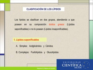 CLASIFICACIÓN DE LOS LÍPIDOS
Los lípidos se clasifican en dos grupos, atendiendo a que
posean en su composición ácidos grasos (Lípidos
saponificables) o no lo posean (Lípidos insaponificables).
1. Lípidos saponificables
A. Simples: Acilglicéridos y Céridos
B. Complejos: Fosfolípidos y Glucolípidos
 
