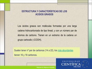 ESTRUCTURA Y CARACTERÍSTICAS DE LOS
ÁCIDOS GRASOS
Los ácidos grasos son moléculas formadas por una larga
cadena hidrocarbonada de tipo lineal, y con un número par de
átomos de carbono. Tienen en un extremo de la cadena un
grupo carboxilo (-COOH).
Suelen tener nº par de carbonos (14 a 22), los más abundantes
tienen 16 y 18 carbonos.
 