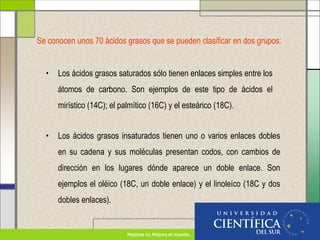 Se conocen unos 70 ácidos grasos que se pueden clasificar en dos grupos:
• Los ácidos grasos saturados sólo tienen enlaces simples entre los
átomos de carbono. Son ejemplos de este tipo de ácidos el
mirístico (14C); el palmítico (16C) y el esteárico (18C).
• Los ácidos grasos insaturados tienen uno o varios enlaces dobles
en su cadena y sus moléculas presentan codos, con cambios de
dirección en los lugares dónde aparece un doble enlace. Son
ejemplos el oléico (18C, un doble enlace) y el linoleíco (18C y dos
dobles enlaces).
 