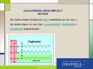 ACILGLICÉRIDOS, GRASA SIMPLES O
NEUTRAS
Son lípidos simples formados por glicerol esterificado por uno, dos, o
tres ácidos grasos, en cuyo caso: monoacilglicérido, diacilglicérido o
triacilglicérido respectivamente.
 