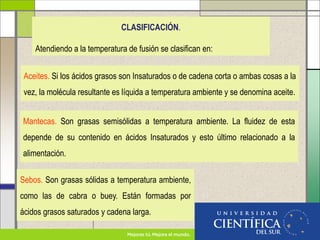 CLASIFICACIÓN.
Atendiendo a la temperatura de fusión se clasifican en:
Aceites. Si los ácidos grasos son Insaturados o de cadena corta o ambas cosas a la
vez, la molécula resultante es líquida a temperatura ambiente y se denomina aceite.
Mantecas. Son grasas semisólidas a temperatura ambiente. La fluidez de esta
depende de su contenido en ácidos Insaturados y esto último relacionado a la
alimentación.
Sebos. Son grasas sólidas a temperatura ambiente,
como las de cabra o buey. Están formadas por
ácidos grasos saturados y cadena larga.
 