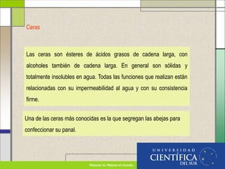 Ceras
Las ceras son ésteres de ácidos grasos de cadena larga, con
alcoholes también de cadena larga. En general son sólidas y
totalmente insolubles en agua. Todas las funciones que realizan están
relacionadas con su impermeabilidad al agua y con su consistencia
firme.
Una de las ceras más conocidas es la que segregan las abejas para
confeccionar su panal.
 