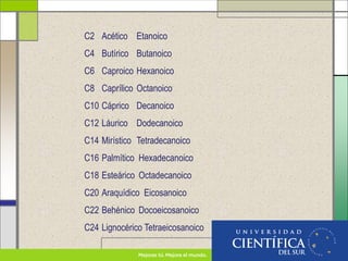 C2 Acético Etanoico
C4 Butírico Butanoico
C6 Caproico Hexanoico
C8 Caprílico Octanoico
C10 Cáprico Decanoico
C12 Láurico Dodecanoico
C14 Mirístico Tetradecanoico
C16 Palmítico Hexadecanoico
C18 Esteárico Octadecanoico
C20 Araquídico Eicosanoico
C22 Behénico Docoeicosanoico
C24 Lignocérico Tetraeicosanoico
 