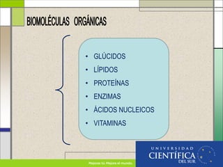• GLÚCIDOS
• LÍPIDOS
• PROTEÍNAS
• ENZIMAS
• ÁCIDOS NUCLEICOS
• VITAMINAS
 