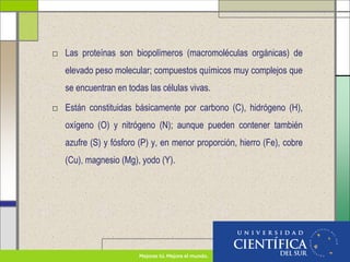 □ Las proteínas son biopolímeros (macromoléculas orgánicas) de
elevado peso molecular; compuestos químicos muy complejos que
se encuentran en todas las células vivas.
□ Están constituidas básicamente por carbono (C), hidrógeno (H),
oxígeno (O) y nitrógeno (N); aunque pueden contener también
azufre (S) y fósforo (P) y, en menor proporción, hierro (Fe), cobre
(Cu), magnesio (Mg), yodo (Y).
 