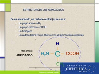 En un aminoácido, un carbono central (ɑ) se une a:
• Un grupo amino –NH2
• Un grupo carboxilo –COOH
• Un hidrógeno
• Un cadena lateral R que difiere en los 20 aminoácidos existentes.
ESTRUCTURA DE LOS AMINOÁCIDOS
C
H2N COOH
H
CH3
Monómero
AMINOÁCIDO
 