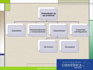Propiedades de
las proteínas
Solubilidad
Desnaturalización
y renaturalización
Especificidad
De función De especie
Capacidad
amortiguadora
 