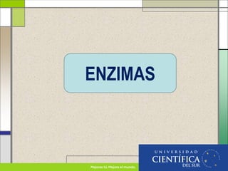 ENZIMAS
 