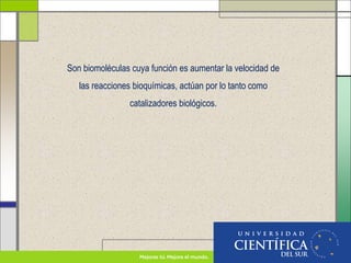 Son biomoléculas cuya función es aumentar la velocidad de
las reacciones bioquímicas, actúan por lo tanto como
catalizadores biológicos.
 