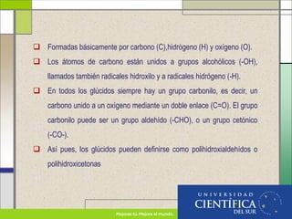  Formadas básicamente por carbono (C),hidrógeno (H) y oxígeno (O).
 Los átomos de carbono están unidos a grupos alcohólicos (-OH),
llamados también radicales hidroxilo y a radicales hidrógeno (-H).
 En todos los glúcidos siempre hay un grupo carbonilo, es decir, un
carbono unido a un oxígeno mediante un doble enlace (C=O). El grupo
carbonilo puede ser un grupo aldehído (-CHO), o un grupo cetónico
(-CO-).
 Así pues, los glúcidos pueden definirse como polihidroxialdehídos o
polihidroxicetonas
 