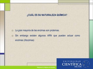 ¿CUÁL ES SU NATURALEZA QUÍMICA?
□ La gran mayoría de las enzimas son proteínas.
□ Sin embargo existen algunos ARN que pueden actuar como
enzimas (ribozimas)
 