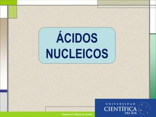 ÁCIDOS
NUCLEICOS
 