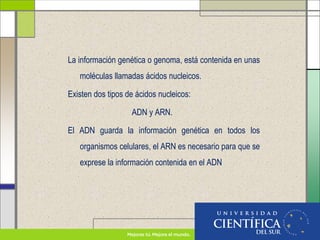 La información genética o genoma, está contenida en unas
moléculas llamadas ácidos nucleicos.
Existen dos tipos de ácidos nucleicos:
ADN y ARN.
El ADN guarda la información genética en todos los
organismos celulares, el ARN es necesario para que se
exprese la información contenida en el ADN
 