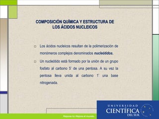 COMPOSICIÓN QUÍMICA Y ESTRUCTURA DE
LOS ÁCIDOS NUCLEICOS
□ Los ácidos nucleicos resultan de la polimerización de
monómeros complejos denominados nucleótidos.
□ Un nucleótido está formado por la unión de un grupo
fosfato al carbono 5’ de una pentosa. A su vez la
pentosa lleva unida al carbono 1’ una base
nitrogenada.
 