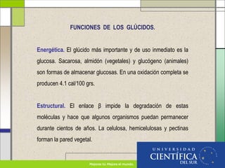 FUNCIONES DE LOS GLÚCIDOS.
Energética. El glúcido más importante y de uso inmediato es la
glucosa. Sacarosa, almidón (vegetales) y glucógeno (animales)
son formas de almacenar glucosas. En una oxidación completa se
producen 4.1 cal/100 grs.
Estructural. El enlace β impide la degradación de estas
moléculas y hace que algunos organismos puedan permanecer
durante cientos de años. La celulosa, hemicelulosas y pectinas
forman la pared vegetal.
 