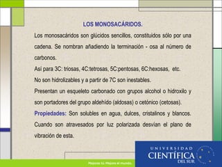LOS MONOSACÁRIDOS.
Los monosacáridos son glúcidos sencillos, constituidos sólo por una
cadena. Se nombran añadiendo la terminación - osa al número de
carbonos.
Así para 3C: triosas, 4C:tetrosas, 5C:pentosas, 6C:hexosas, etc.
No son hidrolizables y a partir de 7C son inestables.
Presentan un esqueleto carbonado con grupos alcohol o hidroxilo y
son portadores del grupo aldehído (aldosas) o cetónico (cetosas).
Propiedades: Son solubles en agua, dulces, cristalinos y blancos.
Cuando son atravesados por luz polarizada desvían el plano de
vibración de esta.
 