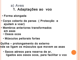 a) Aves 1. Adaptações ao  voo  Forma alongada  Corpo coberto de penas  ( Protecção  e  ajudam a voar) Membros anteriores transformados  em asas  Ossos ocos  Músculos peitorais fortes  Quilha – prolongamento do externo  onde se ligam os músculos que movem as asas Sacos aéreos para reserva de ar,  ligados aos ossos ocos, para facilitar o voo 