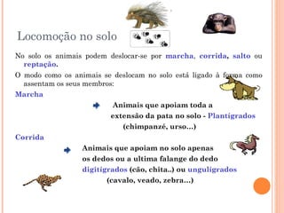 Locomoção no solo  No solo os animais podem deslocar-se por  marcha ,  corrida ,  salto  ou  reptação . O modo como os animais se deslocam no solo   está ligado à forma como assentam os seus membros: Marcha Animais que apoiam toda a extensão da pata no solo -  Plantígrados (chimpanzé, urso…) Corrida Animais que apoiam no solo apenas os dedos ou a ultima falange do dedo digitígrados  (cão, chita..) ou  ungulígrados (cavalo, veado, zebra…) 