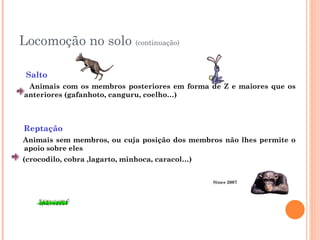 Locomoção no solo  (continuação) Salto  Animais com os membros posteriores em forma de Z e maiores que os anteriores (gafanhoto, canguru, coelho…) Reptação Animais sem membros, ou cuja posição dos membros não lhes permite o apoio sobre eles (crocodilo, cobra ,lagarto, minhoca, caracol…) Sines 2007 